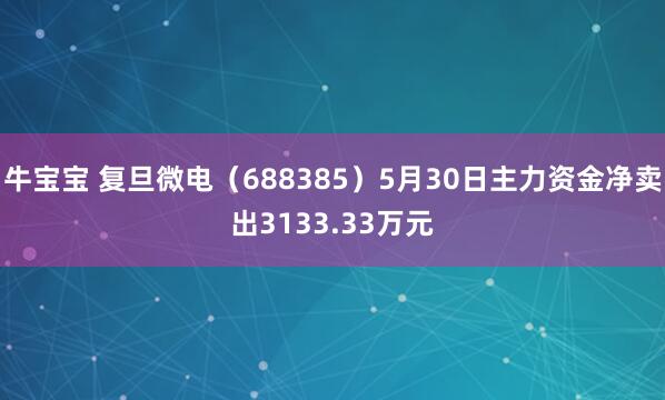 牛宝宝 复旦微电（688385）5月30日主力资金净卖出3133.33万元