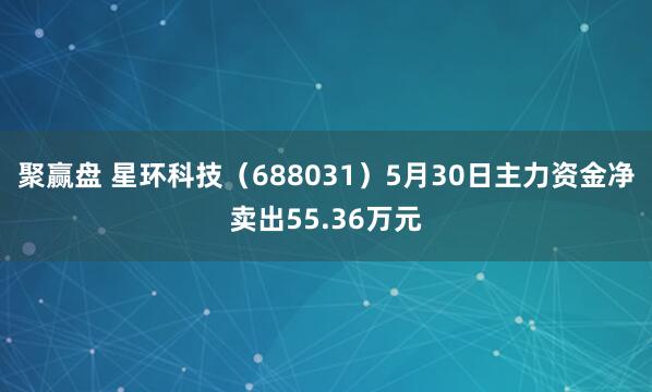 聚赢盘 星环科技（688031）5月30日主力资金净卖出55.36万元
