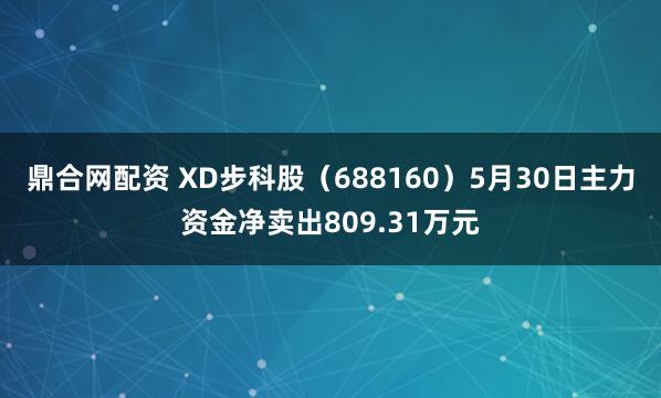 鼎合网配资 XD步科股（688160）5月30日主力资金净卖出809.31万元
