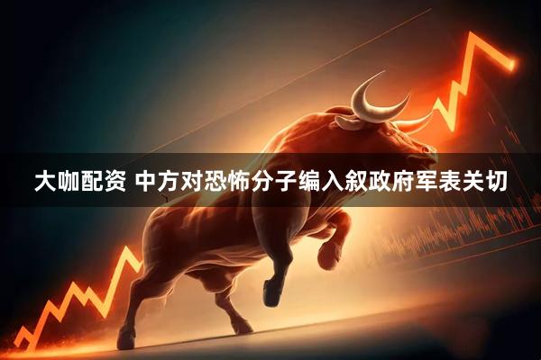 大咖配资 中方对恐怖分子编入叙政府军表关切