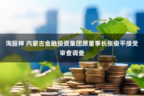 淘股神 内蒙古金融投资集团原董事长张俊平接受审查调查