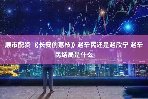 顺市配资 《长安的荔枝》赵辛民还是赵欣宁 赵辛民结局是什么