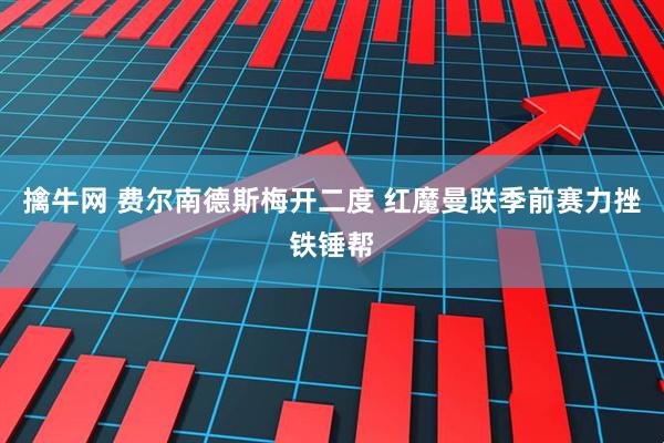 擒牛网 费尔南德斯梅开二度 红魔曼联季前赛力挫铁锤帮