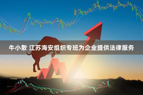 牛小散 江苏海安组织专班为企业提供法律服务
