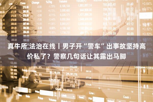 真牛所 法治在线丨男子开“警车”出事故坚持高价私了？警察几句话让其露出马脚
