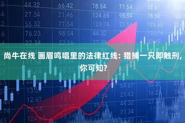 尚牛在线 画眉鸣唱里的法律红线: 猎捕一只即触刑, 你可知?