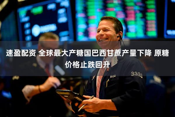 速盈配资 全球最大产糖国巴西甘蔗产量下降 原糖价格止跌回升