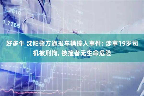 好多牛 沈阳警方通报车辆撞人事件: 涉事19岁司机被刑拘, 被撞者无生命危险