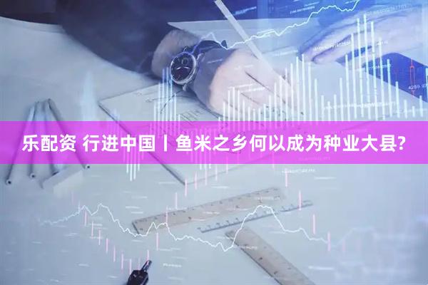 乐配资 行进中国丨鱼米之乡何以成为种业大县?