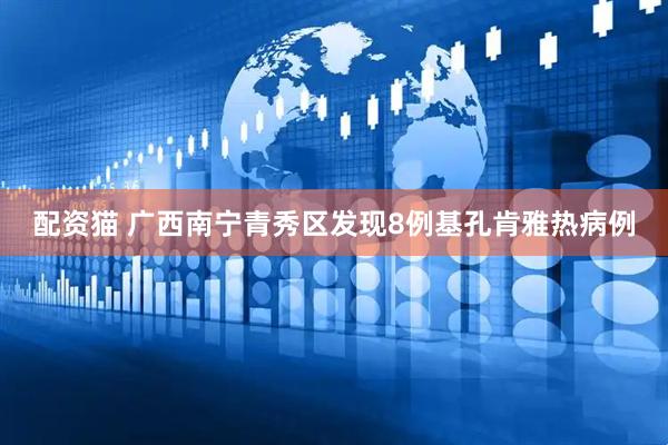 配资猫 广西南宁青秀区发现8例基孔肯雅热病例