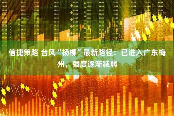 信捷策路 台风“杨柳”最新路径：已进入广东梅州，强度逐渐减弱