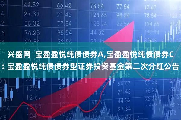 兴盛网  宝盈盈悦纯债债券A,宝盈盈悦纯债债券C: 宝盈盈悦纯债债券型证券投资基金第二次分红公告