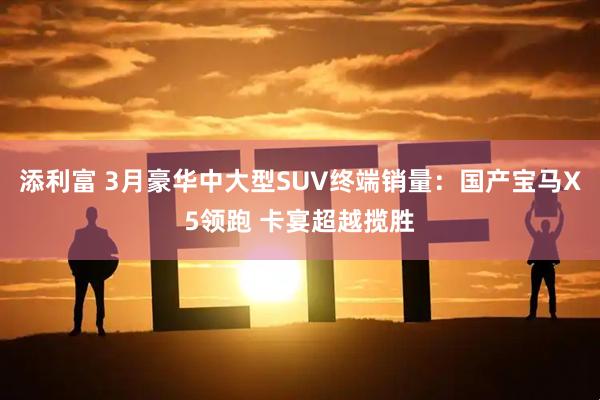 添利富 3月豪华中大型SUV终端销量:国产宝马X5领跑 卡宴超越揽胜